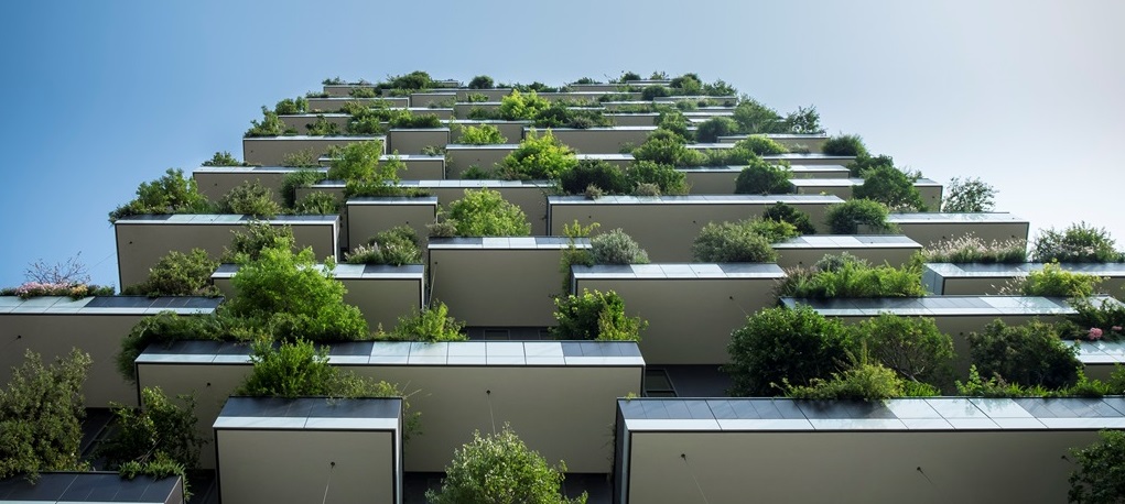 Edificios verdes